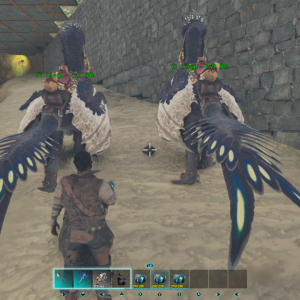 Yi Ling Breeding Pair LVL 96