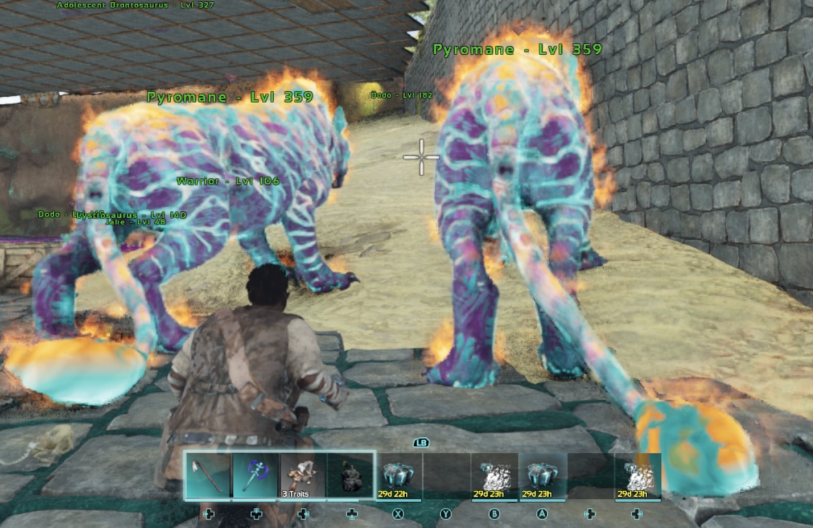 2 Pyromane Cotton Candy Breeding Pairs - Image 4