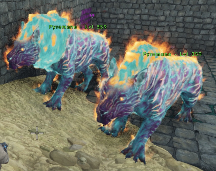 2 Pyromane Cotton Candy Breeding Pairs - Image 2
