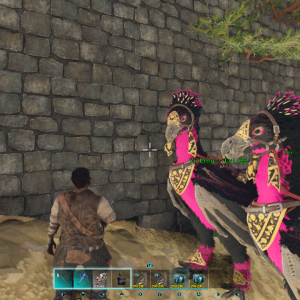 Yi Ling Playboy Breeding Pair