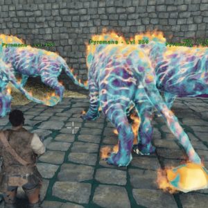 2 Pyromane Cotton Candy Breeding Pairs