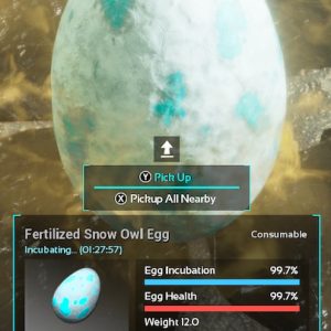 Snow Owl Egg (Pellet Owls)
