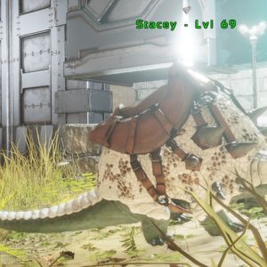 Adult Female Doedicurus – Level 69