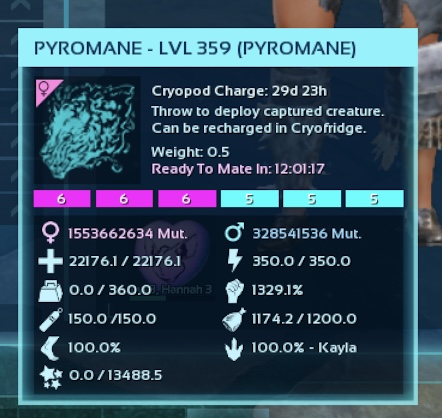 2 Pyromane Cotton Candy Breeding Pairs - Image 6