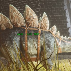 Adult Male Stegosaurus - Level 180